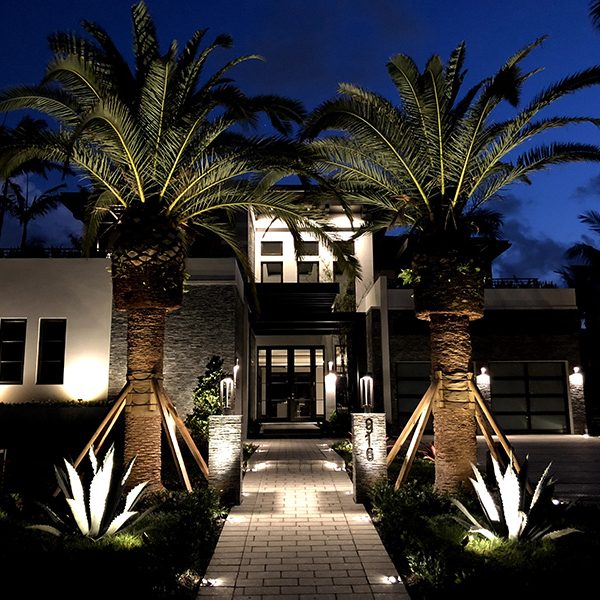 Large home with 2 palm trees. Outdoor LED lighting on the pathway and trees.
